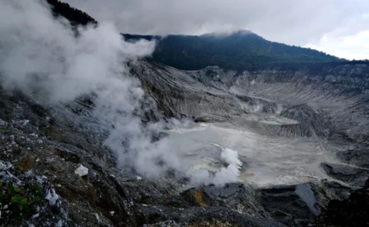 Latest and Breaking News on NDTV