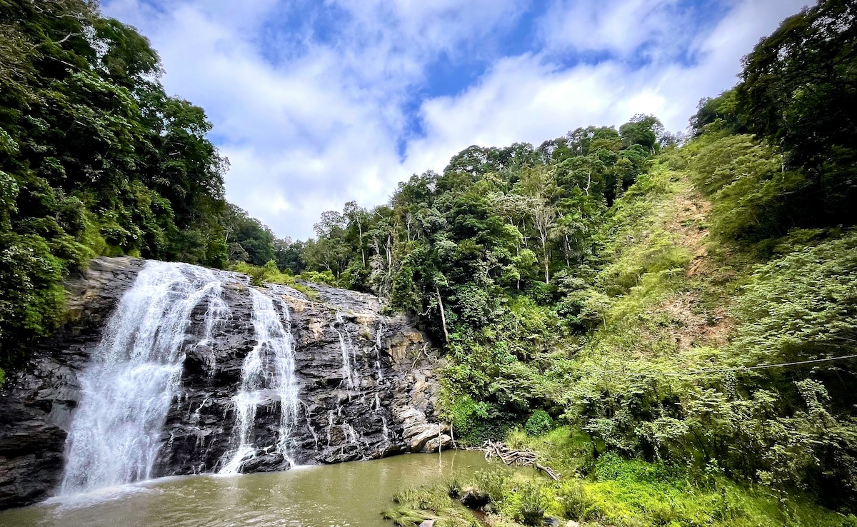 Latest and Breaking News on NDTV Latest and Breaking News on NDTV