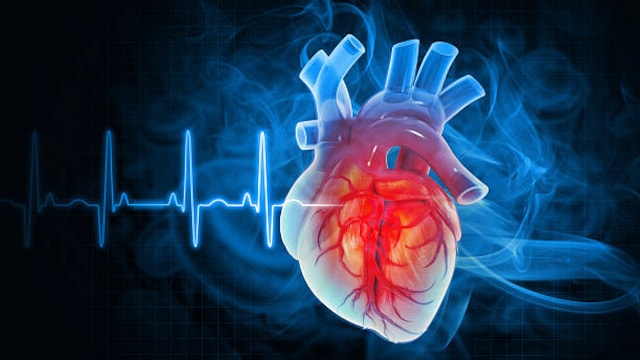 Low Nitric Oxide Levels In Indians Could Heighten Heart Disease Risk, Warns Nutritionist
