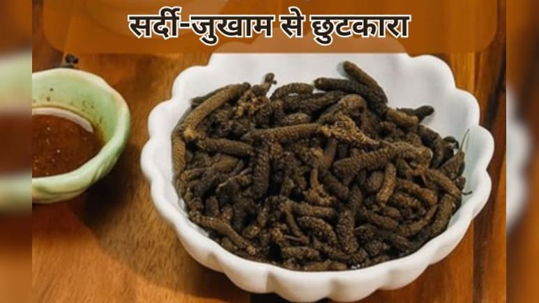 ठंड में सर्दी-जुकाम से हैं परेशान? इस रामबाण इलाज से झट से मिलेगा आराम