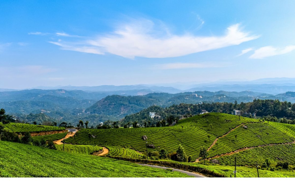 Latest and Breaking News on NDTV Latest and Breaking News on NDTV