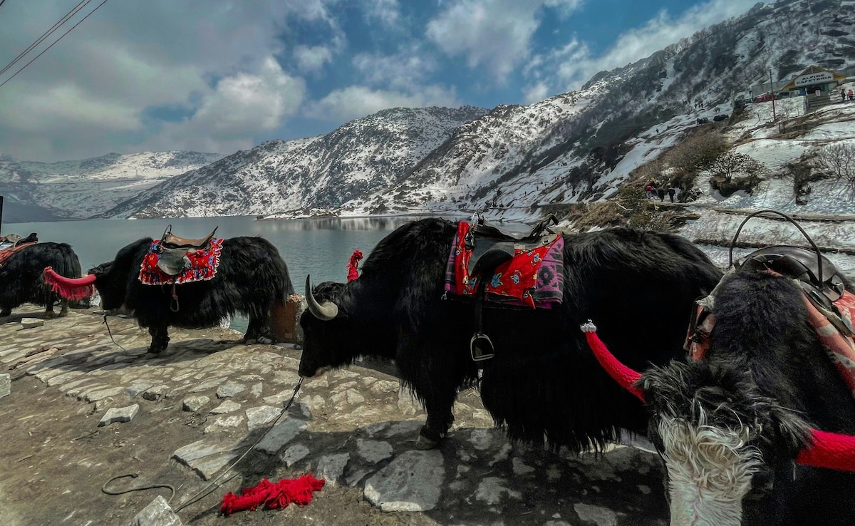 Latest and Breaking News on NDTV