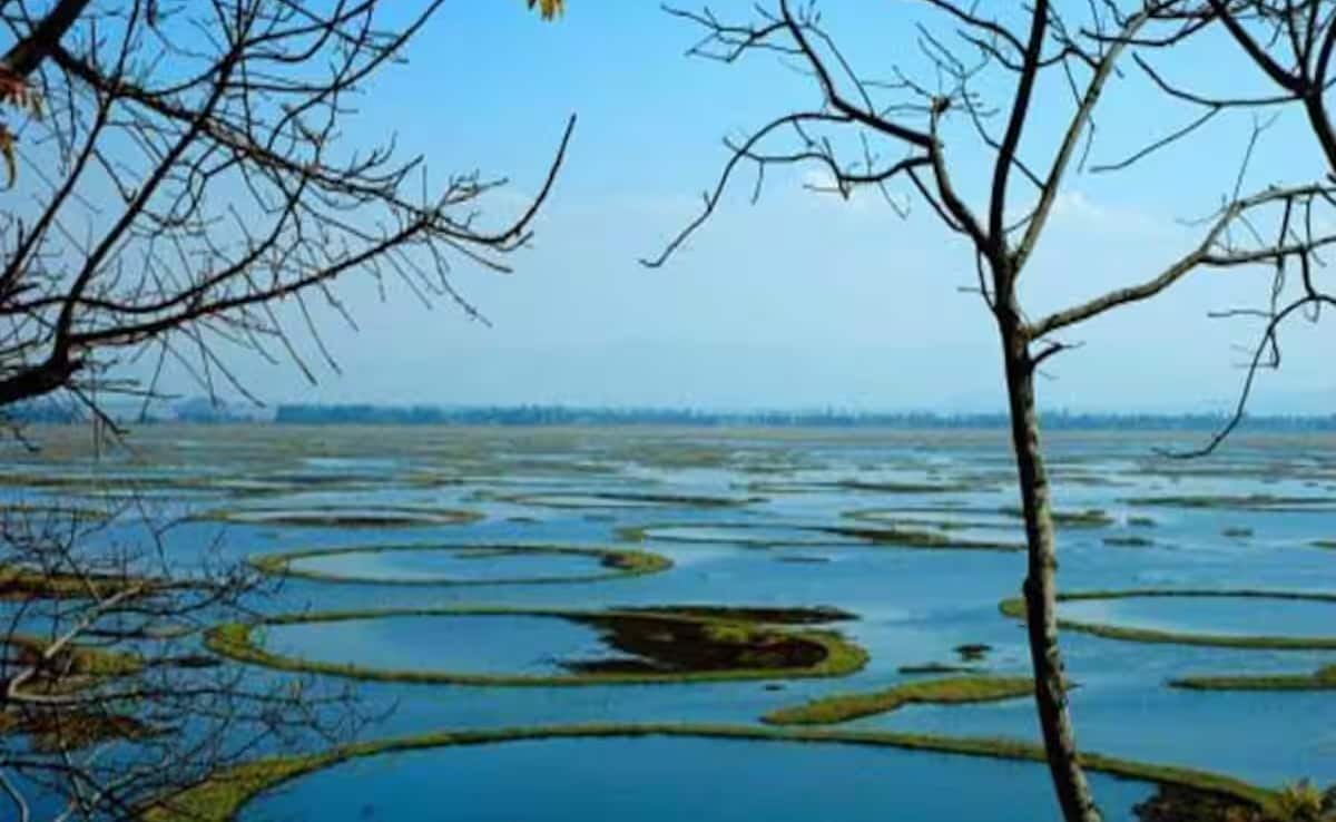 Latest and Breaking News on NDTV Latest and Breaking News on NDTV