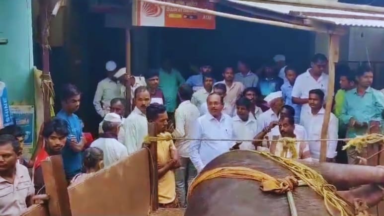 Palghar News : बँक ऑफ बडोदाच्या बाहेर ठेवली मृत म्हैस; शेतकऱ्याच्या आंदोलनाची जिल्ह्यात चर्चा