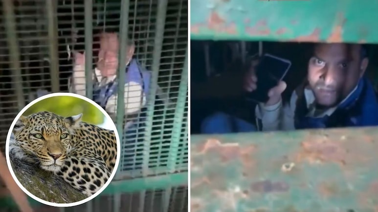 Video: A Trap Was Laid To Catch A Leopard, It Caught Drunk UP Man Instead