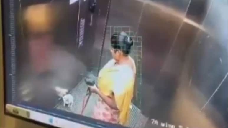 Bengaluru Domestic Worker Slams Pet Dog To Death In Apartment Lift
