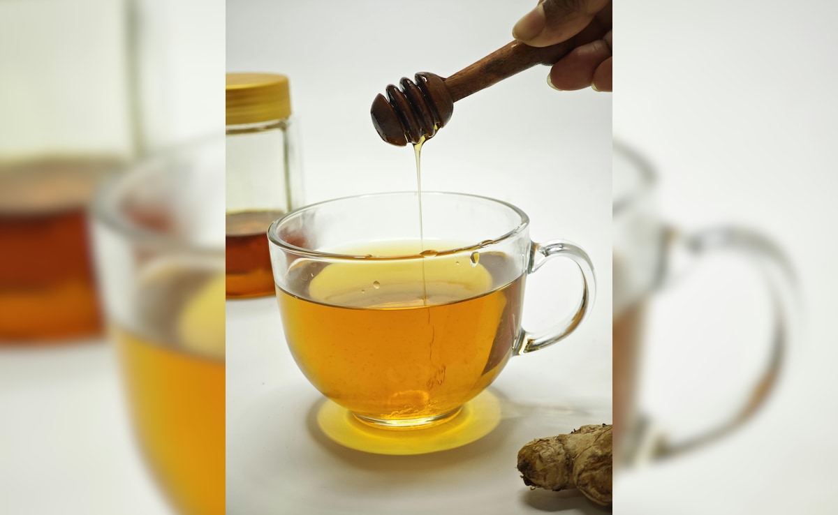 Latest and Breaking News on NDTV