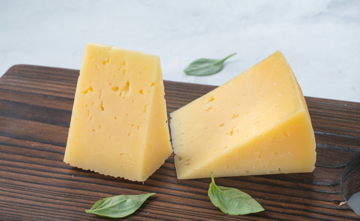 Latest and Breaking News on NDTV Latest and Breaking News on NDTV