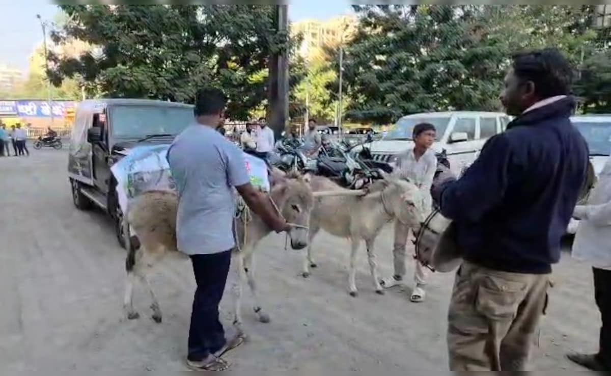 Latest and Breaking News on NDTV Latest and Breaking News on NDTV