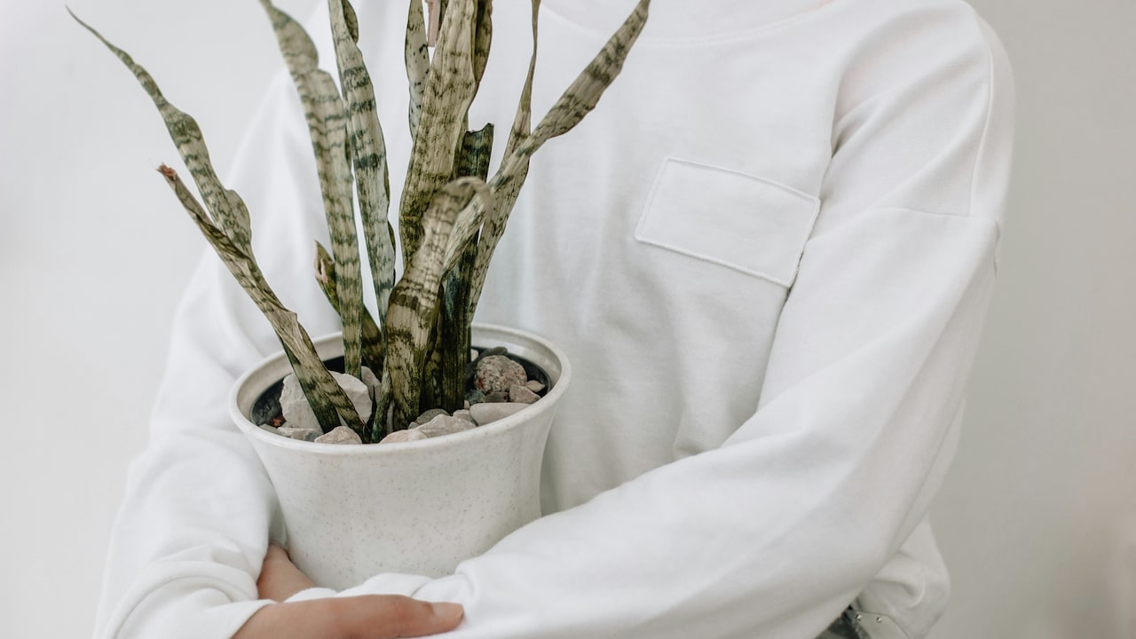 How To Find a Sweatshirt That Will Not Pill After 10 Washes