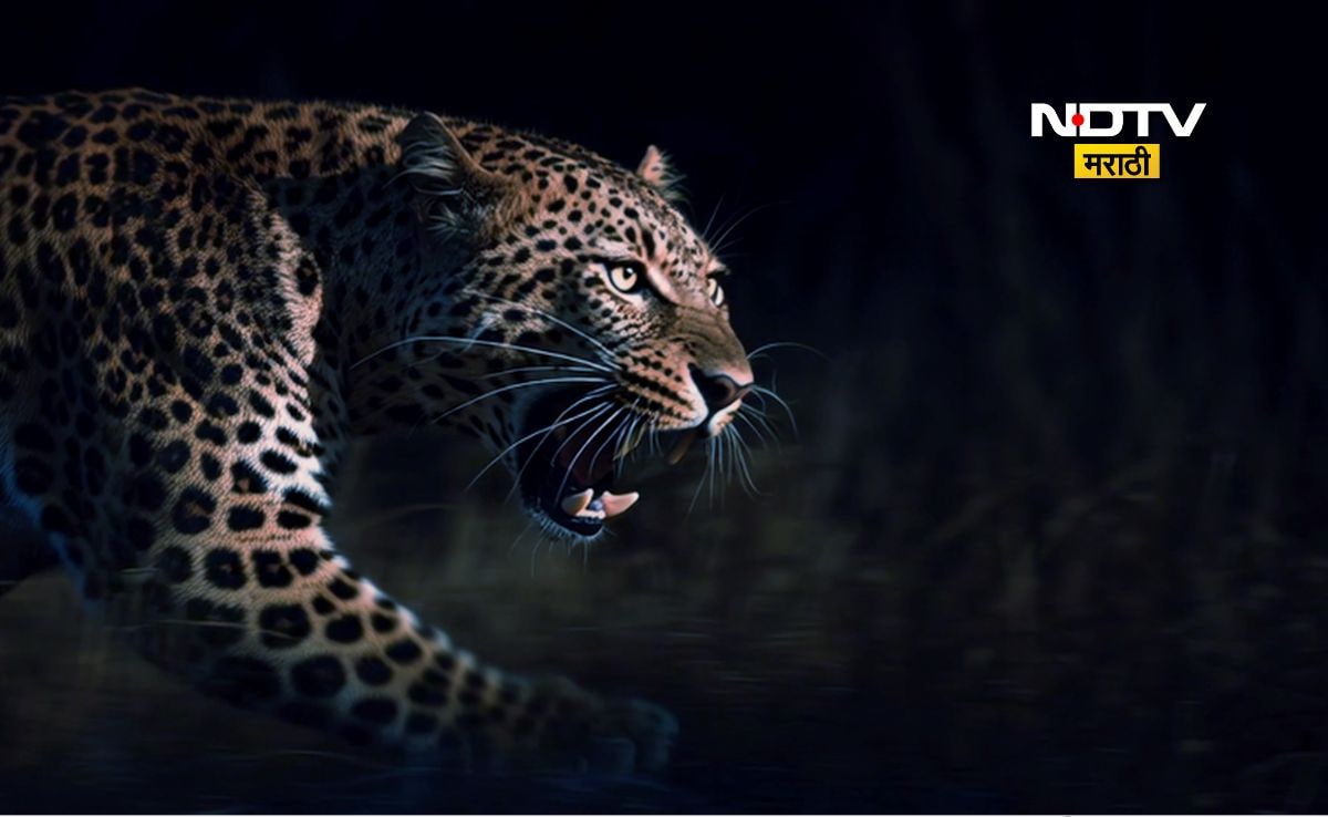 Latest and Breaking News on NDTV