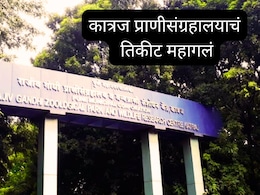 Pune Katraj Zoo Ticket Price Hike : पुण्यातील कात्रज प्राणीसंग्रहालयाची सहल महागणार, तिकीटदरात मोठे बदल