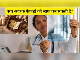 क्या अदरक फेफड़ों को साफ कर सकती है, जानिए अदरक खाने से कौन सी बीमारी खत्म होती है?