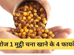 सर्दियों में रोज खाएं सिर्फ 1 मुट्ठी भुना चना, फायदे जानकर रह जाएंगे हैरान