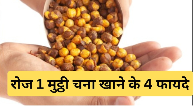सर्दियों में रोज खाएं सिर्फ 1 मुट्ठी भुना चना, फायदे जानकर रह जाएंगे हैरान