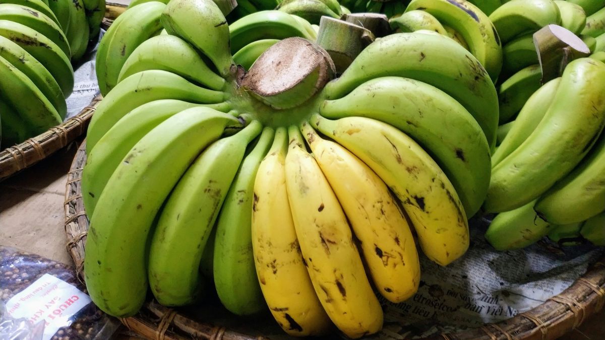 Which Banana Is The Healthiest? AIIMS-Trained Gut Doctor Picks From Green, Yellow And Spotted