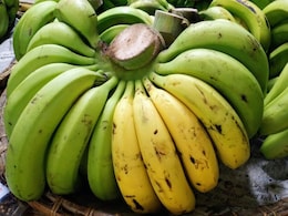 Which Banana Is The Healthiest? AIIMS-Trained Gut Doctor Picks From Green, Yellow And Spotted