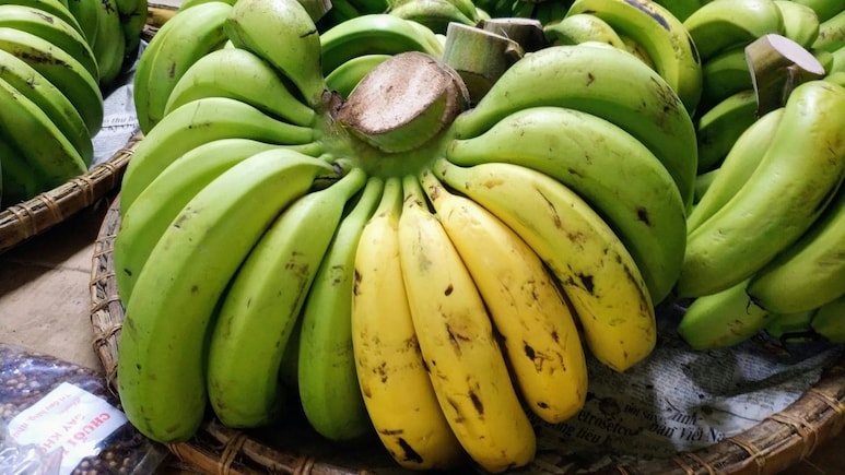 Which Banana Is The Healthiest? AIIMS-Trained Gut Doctor Picks From Green, Yellow And Spotted