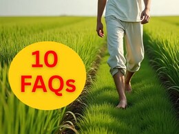 हरी घास पर सुबह नंगे पैर क्यों चलना चाहिए? कौन सी बीमारियां ठीक होती हैं? क्या कहते हैं साइंटिस्ट? फायदे-नुकसान, पढ़ें 10 FAQs