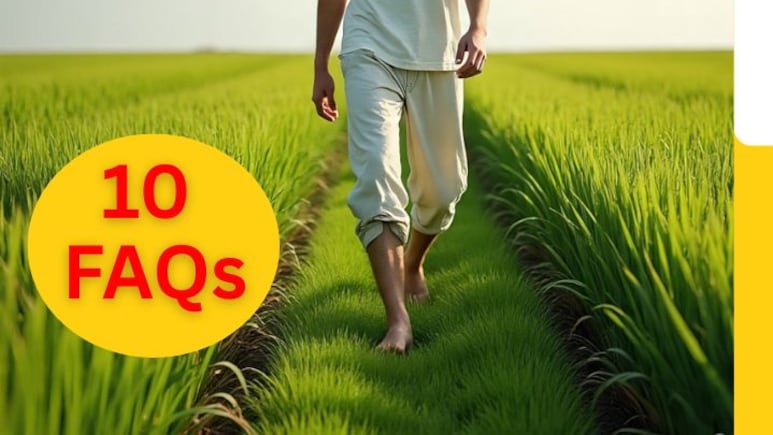 हरी घास पर सुबह नंगे पैर क्यों चलना चाहिए? कौन सी बीमारियां ठीक होती हैं? क्या कहते हैं साइंटिस्ट? फायदे-नुकसान, पढ़ें 10 FAQs