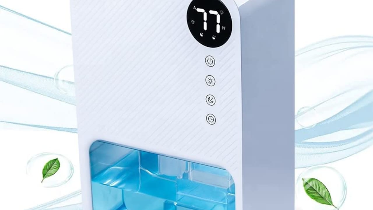 How To Use A Dehumidifier For Monsoon Homes That Prevents Mould Growth