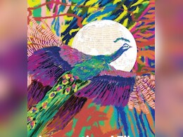 इफ्फी 2025: 81 देशों की 240 फिल्मों के साथ अंतरराष्ट्रीय फिल्म महोत्सव, नए विचार और सिनेमा का जश्न