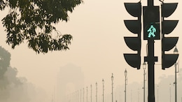 Clean Air Funds Worth Rs 29 Crore Left Unspent By Delhi Civic Body: RTI