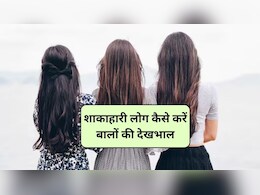 Vegetarian Hair Care: शाकाहारी लोग खाने में ये 5 चीजें कर लें शामिल, तेजी से बढ़ने लगेंगे बाल, नेचुरल बायोटिन से हैं भरपूर