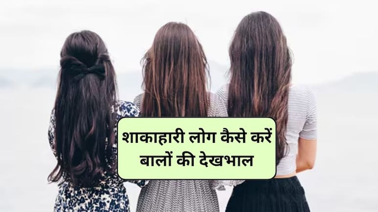 Vegetarian Hair Care: शाकाहारी लोग खाने में ये 5 चीजें कर लें शामिल, तेजी से बढ़ने लगेंगे बाल, नेचुरल बायोटिन से हैं भरपूर