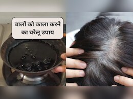 क्या 30 की उम्र में बाल सफेद हो गए हैं? करी पत्ता, आंवला और नारियल तेल मिलाकर बनाएं ये 3 हेयर पैक, बाल फिर से बन जाएंगे काले-घने और चमकदार
