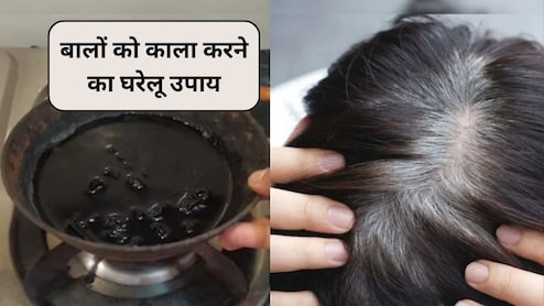 क्या 30 की उम्र में बाल सफेद हो गए हैं? करी पत्ता, आंवला और नारियल तेल मिलाकर बनाएं ये 3 हेयर पैक, बाल फिर से बन जाएंगे काले-घने और चमकदार