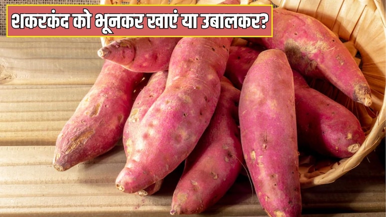 शकरकंद खाने का सही तरीका क्या है? न्यूट्रिशनिस्ट ने बताया सर्दियों में रोज शकरकंद खाने से क्या होगा