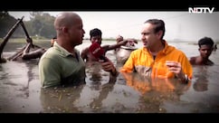 Exclusive: कांटों का दरिया और कीड़े मकोड़ों का डर, मखाना उगाना आसान नहीं, NDTV ने जाना किसानों का दर्द