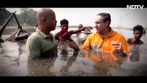 Exclusive: कांटों का दरिया और कीड़े मकोड़ों का डर, मखाना उगाना आसान नहीं, NDTV ने जाना किसानों का दर्द