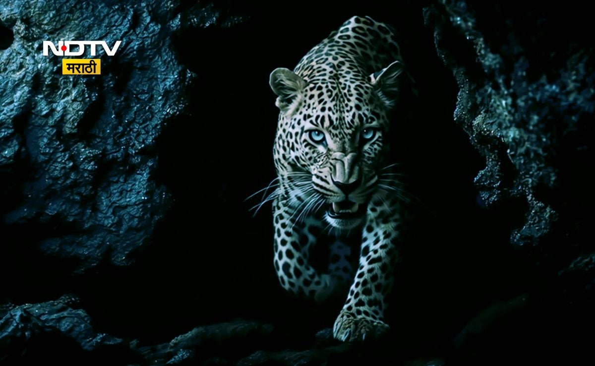 Latest and Breaking News on NDTV