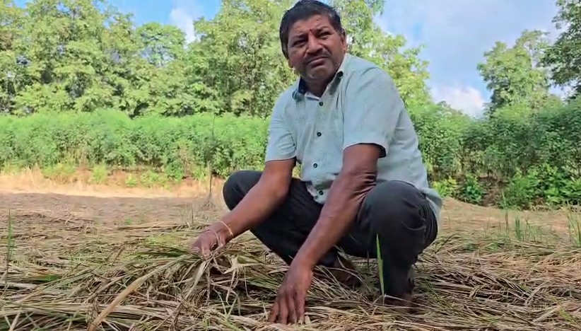 मुआवज़ा या मजाक? किसान की पूरी फसल डूबी, मुआवजे में मिले सिर्फ 2.30 रुपए!