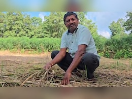 सिर्फ ढाई रुपये मुआवजा! 11 एकड़ में किसान की फसल डूबी,  महाराष्ट्र सरकार ने दी सफाई