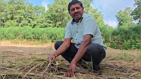 सिर्फ ढाई रुपये मुआवजा! 11 एकड़ में किसान की फसल डूबी,  महाराष्ट्र सरकार ने दी सफाई