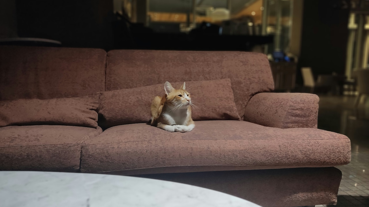 Space-Saving Comfort: Sofa Cum Beds on Early Amazon Black Friday Deals