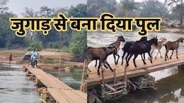 प्रशासन से नहीं मिली मदद, तो लोगों ने गुडरा नदी पर देशी जुगाड़ से खुद ही तैयार कर दिया 300 मीटर लंबा पुल