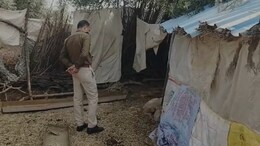 झुंझुनूं में अज्ञात जानवर ने किया भयानक हमला, रात के अंधेरे में 62 भेड़ों को उतारा मौत के घाट