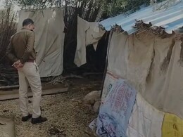 झुंझुनूं में अज्ञात जानवर ने किया भयानक हमला, रात के अंधेरे में 62 भेड़ों को उतारा मौत के घाट