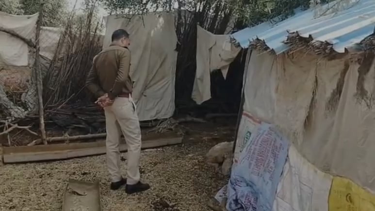 झुंझुनूं में अज्ञात जानवर ने किया भयानक हमला, रात के अंधेरे में 62 भेड़ों को उतारा मौत के घाट