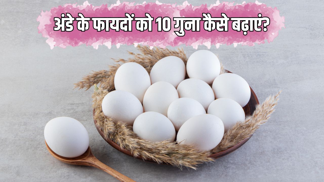 अंडे के फायदों को 10 गुना कैसे बढ़ाएं? डॉक्टर से जान लें कैसे खाने चाहिए Egg