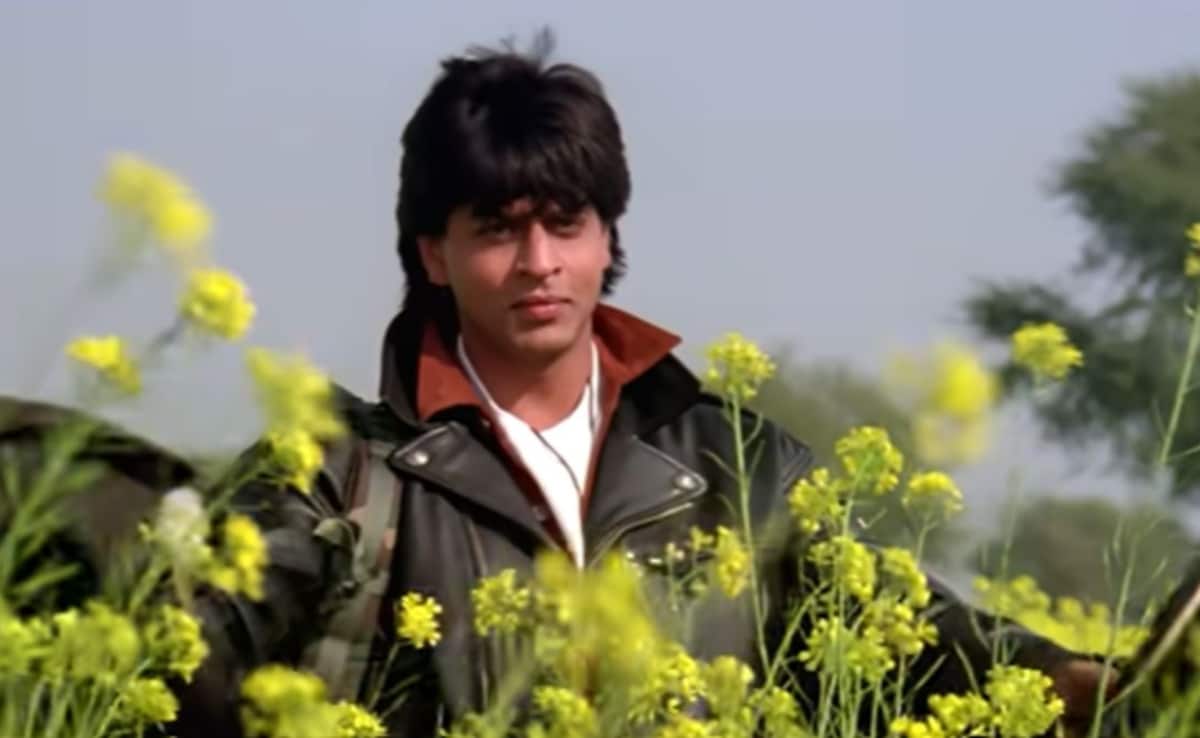 Shah Rukh Khan in mustard fields of Haryana during DDLJ shoot. Photo: YRF/ YouTube