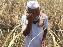 अभावग्रस्त गांव की संशोधित अधिसूचना जारी, 6 जिलों की 19 तहसीलों को सूची से किया गया बाहर