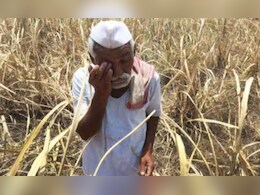 मराठवाड़ा में हर दिन 3 किसान कर रहे आत्महत्या, जनवरी से अक्टूबर तक 899 अन्नदाताओं ने दी जान