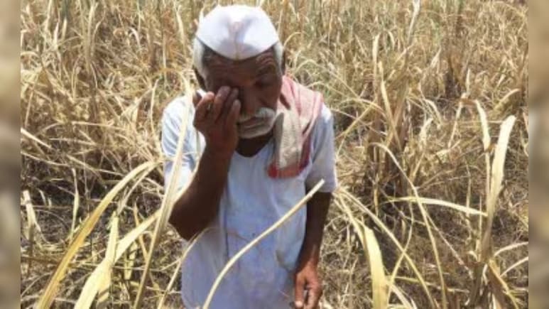 मराठवाड़ा में हर दिन 3 किसान कर रहे आत्महत्या, जनवरी से अक्टूबर तक 899 अन्नदाताओं ने दी जान