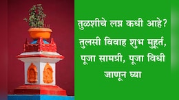 Tulsi Vivah 2025 Shubh Muhurat: तुलसी विवाह तारीख, तिथी, मुहूर्त, पूजा विधी-सामग्री आणि धार्मिक महत्त्व जाणून घ्या
