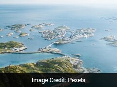 Fossils From The Arctic Reveal Ocean-Dwelling Reptiles Of The Dinosaur Age